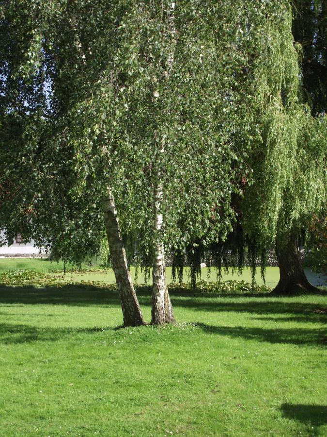 Les Portes Des Froises Saint-Quentin-en-Tourmont Eksteriør bilde